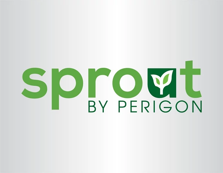 Experienced Custom Logo Design Company (LogoSkill)